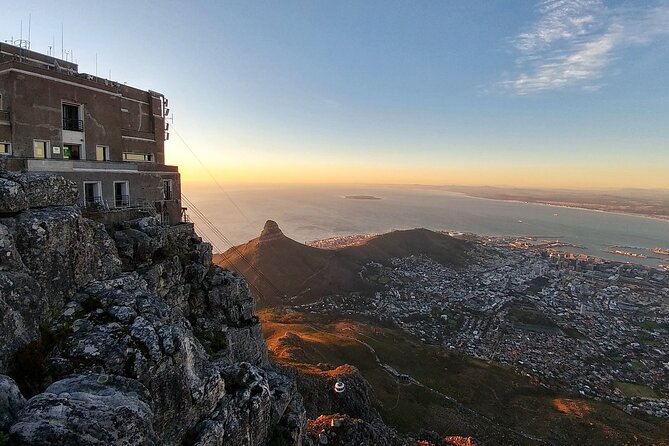 Table Mountain Boulder's Beach and Cape Point Tour - Boulders Beach: the tour’s easiest wildlife encounter