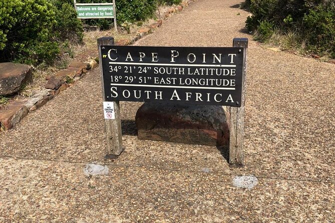 Table Mountain, Boulder's Penguins, Cape of Good Hope&Cape Point - Key points before you book