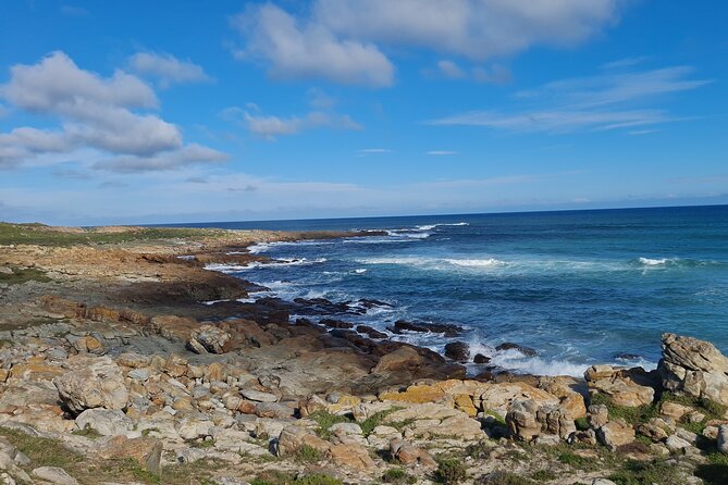 Table Mountain, Boulder's Penguins, Cape of Good Hope&Cape Point - Chapman’s Peak Drive and the coastal view