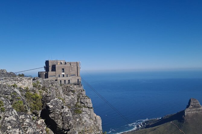 Table Mountain, Boulder's Penguins, Cape of Good Hope&Cape Point - Starting in Cape Town’s center