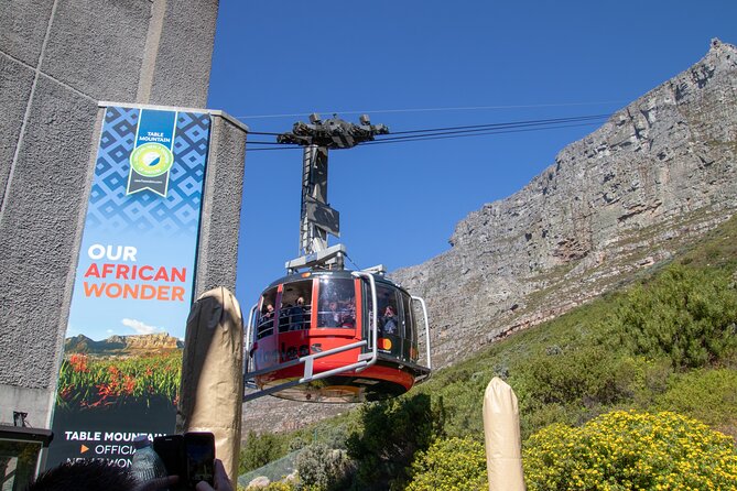 Table Mountain, Boulder's Penguins & Cape Point Private Tour from Cape Town - Why this private Cape Peninsula route works