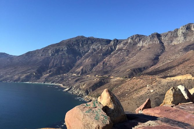 Table Mountain, Boulders Penguins & Cape point Private Day Tour - A short ostrich stop before Cape Point