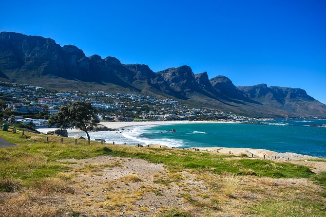 Table Mountain, Boulders Penguins & Cape point Private Day Tour - Table Mountain, with weather as the wild card