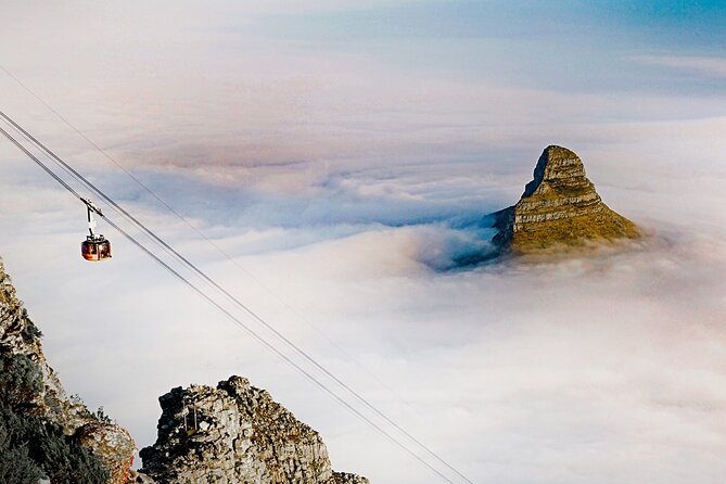 Table Mountain Cable Car Experience With Pre Booked Tickets - Walking trails and Table Mountain’s living side