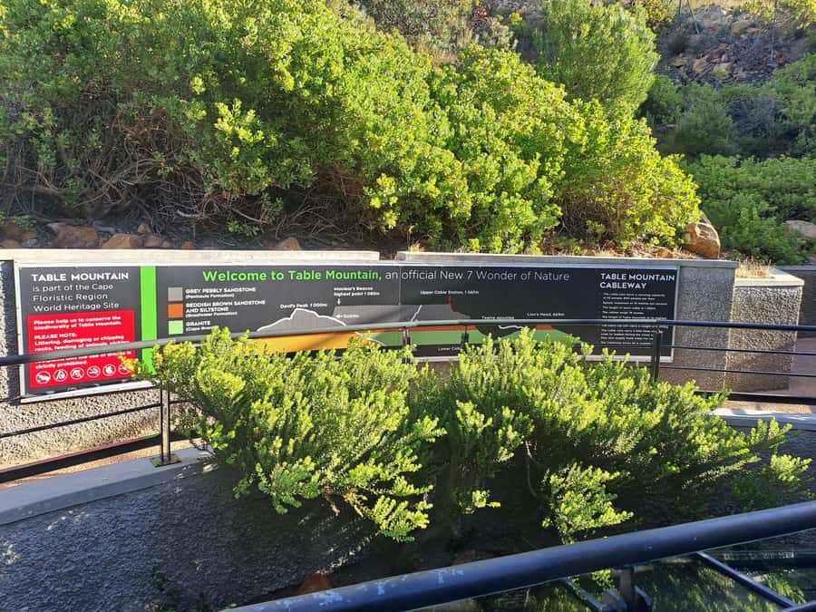 Table Mountain Cable Car Ticket with Transfer - The strongest part is the personal service