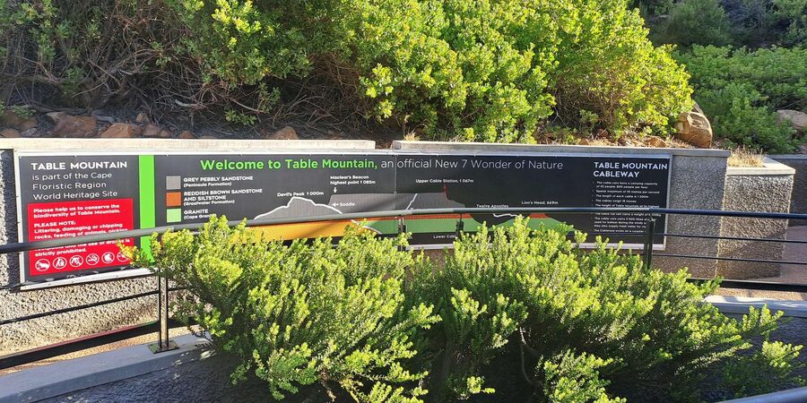 Table Mountain Cable Car Ticket with Transfer - Lunch, drinks, and souvenirs at the top