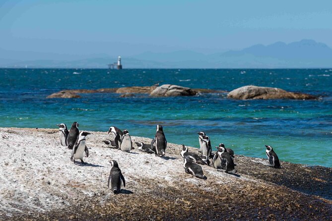 Table Mountain, Cape of good hope Full Day Shared Group Tour - Noordhoek Farm Village: a useful break in the middle