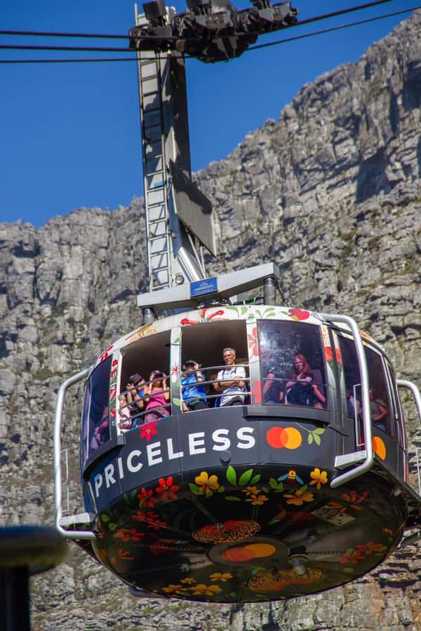 Table Mountain, Cape Of Good Hope, Penguins, Full Day Tour - Key points to know before booking