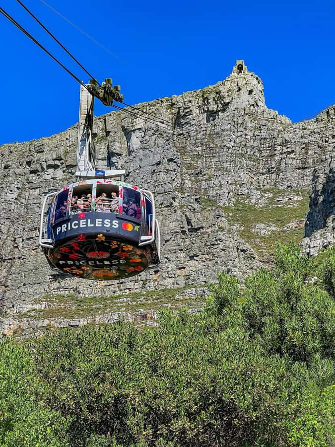 Table Mountain, Cape Of Good Hope, Penguins, Full Day Tour - Why this Cape Town day tour works
