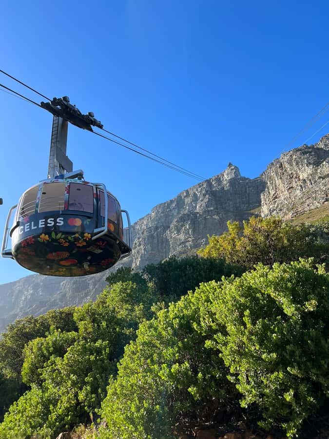 Table Mountain, Cape Of Good Hope, Penguins, Full Day Tour - Hout Bay and the optional Seal Island boat