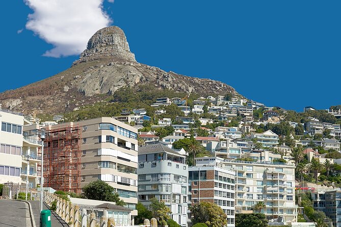 Table Mountain, Cape Point & Penguin Beach ENTRANCE INCLUDED - Table Mountain saves the grand finale