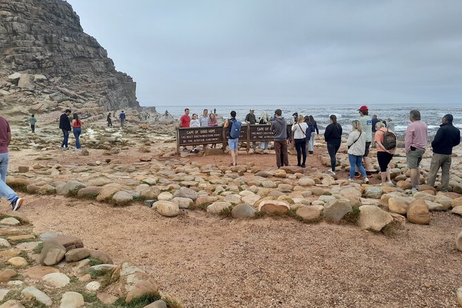 Table Mountain Cape Point Penguin Groot Constantia Private Tour - The day at a glance