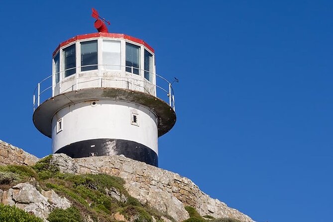 Table Mountain Cape Point Penguin Groot Constantia Private Tour - Camps Bay and Chapman’s Peak deliver the big views