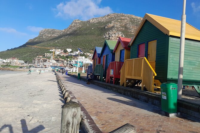 Table Mountain Cape Point Penguin Groot Constantia Private Tour - Cape of Good Hope is the day’s central stop