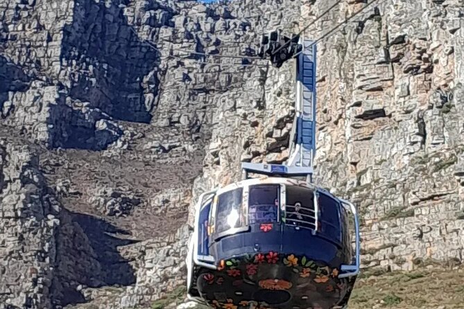 Table Mountain Cape Point Penguin Groot Constantia Private Tour - Groot Constantia adds history and a calmer finish