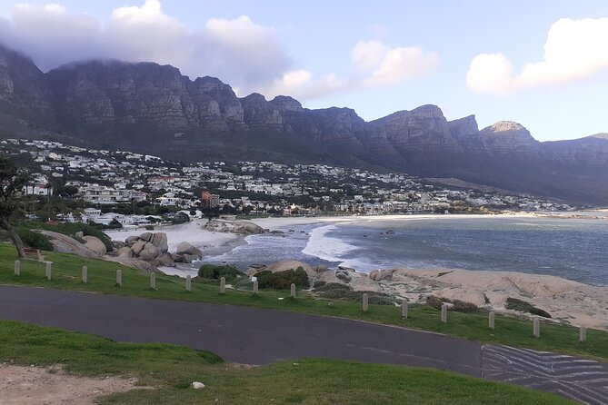Table Mountain, Cape Point & Penguins Private ,From Cape Town - Boulders Beach puts African penguins close by