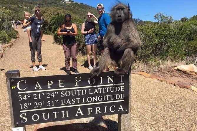 Table Mountain, Cape Point & Penguins Private ,From Cape Town - Simon’s Town is the practical lunch stop