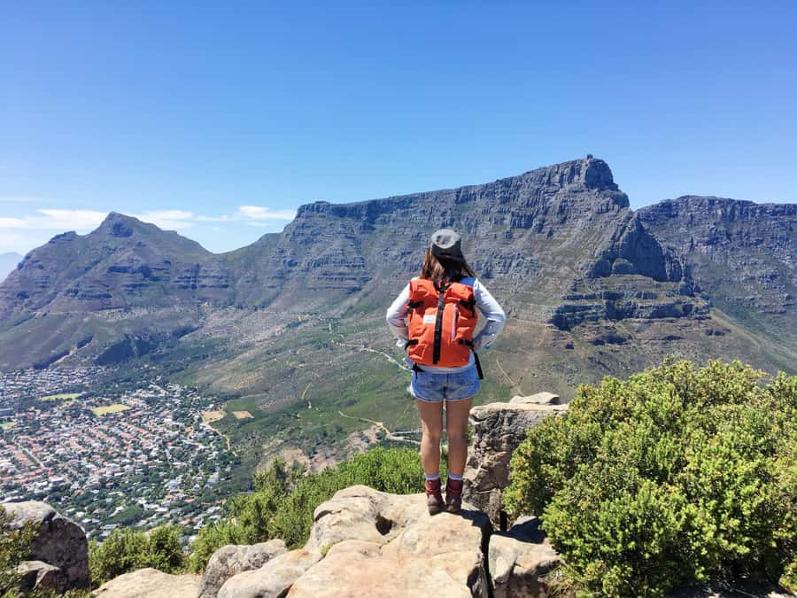 Table Mountain & Cape Town City Half Day Guided Tour - Key points at a glance