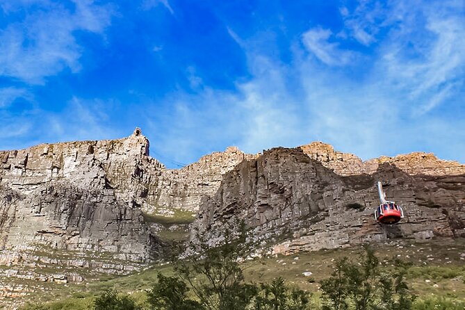 Table Mountain, Chapmans Peak Drive, Cape Point & Penguins - Why the private format matters on a Cape Peninsula day