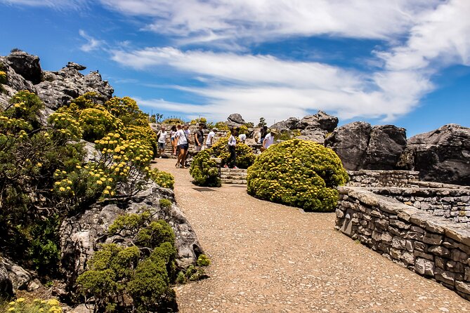 Table Mountain, Chapmans Peak Drive, Cape Point & Penguins - Chapman’s Peak Drive and its postcard viewpoint
