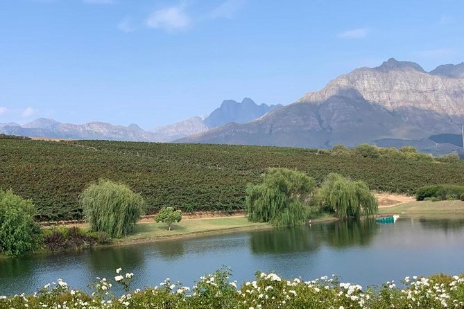 Table Mountain & Constantia Wine Tasting Full Day Tour. - Groot Constantia, the historic center of the route