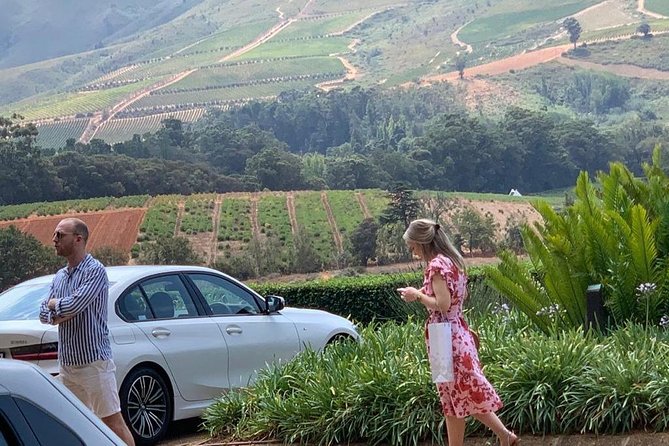 Table Mountain & Constantia Wine Tasting Full Day Tour. - Klein Constantia and the False Bay outlook