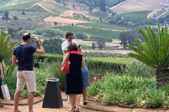 Table Mountain & Constantia Wine Tasting Full Day Tour. - What the private transport is worth