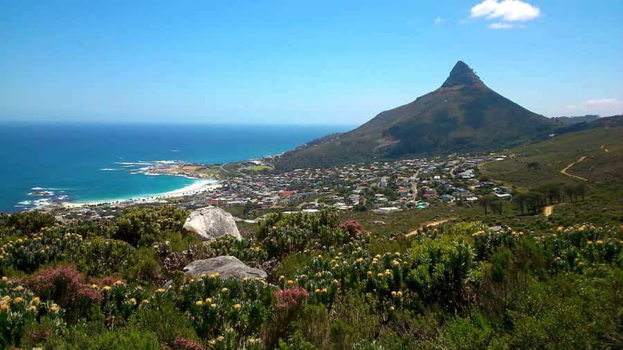Table Mountain: Easy walk for the Whole Family - PRIVATE - Key details before you book