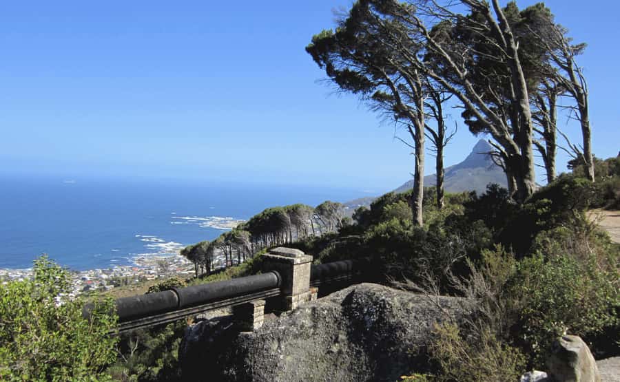 Table Mountain: Easy walk for the Whole Family - PRIVATE - What this Table Mountain walk actually offers