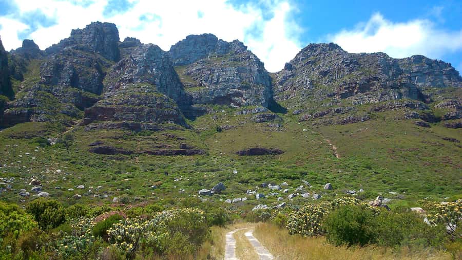 Table Mountain: Easy walk for the Whole Family - PRIVATE - Camps Bay, Bakoven, and Lion’s Head from above