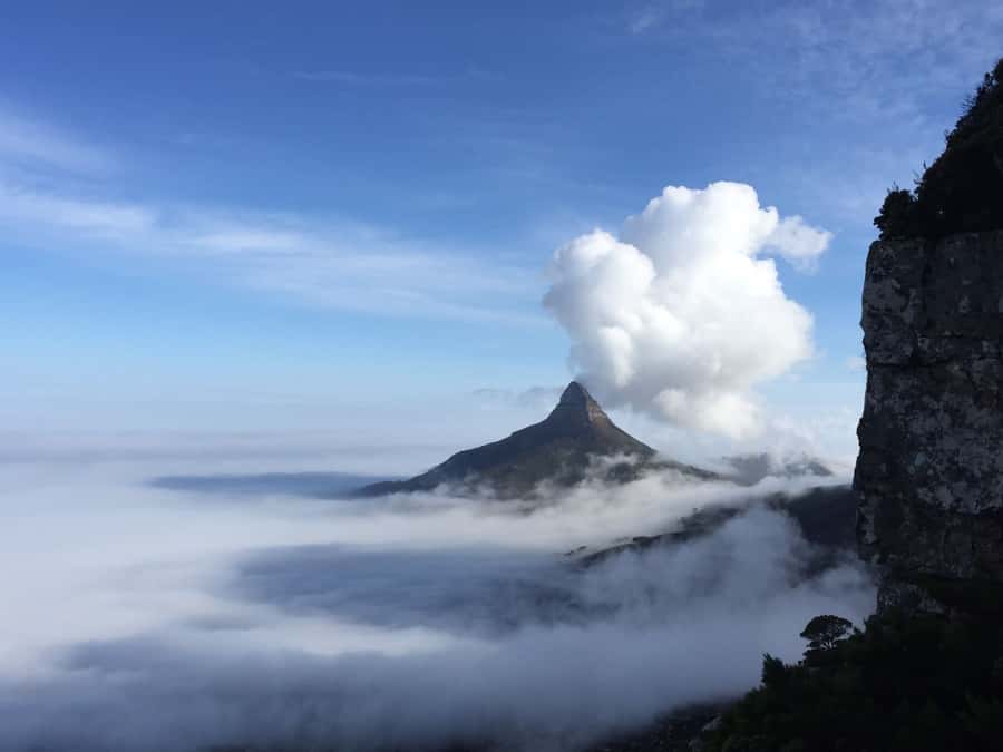 Table Mountain: Easy walk for the Whole Family - PRIVATE - Starting near Kloof Nek on the Pipe Track