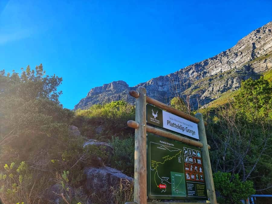 Table Mountain Group Hike - Solo Travelers welcome - Key points before you book