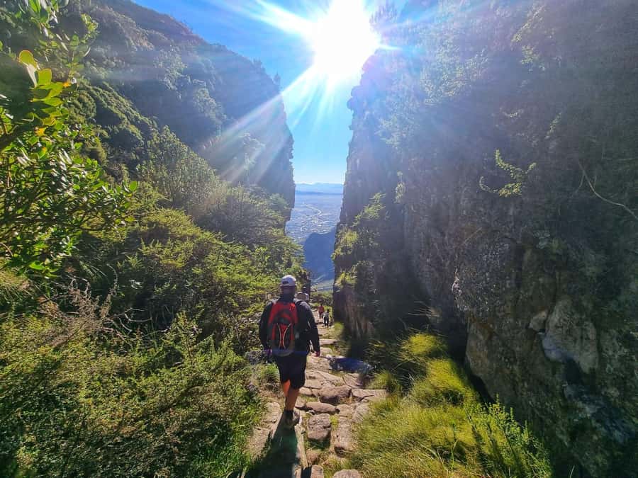 Table Mountain Group Hike - Solo Travelers welcome - Why Platteklip Gorge is the right route for a first Table Mountain climb