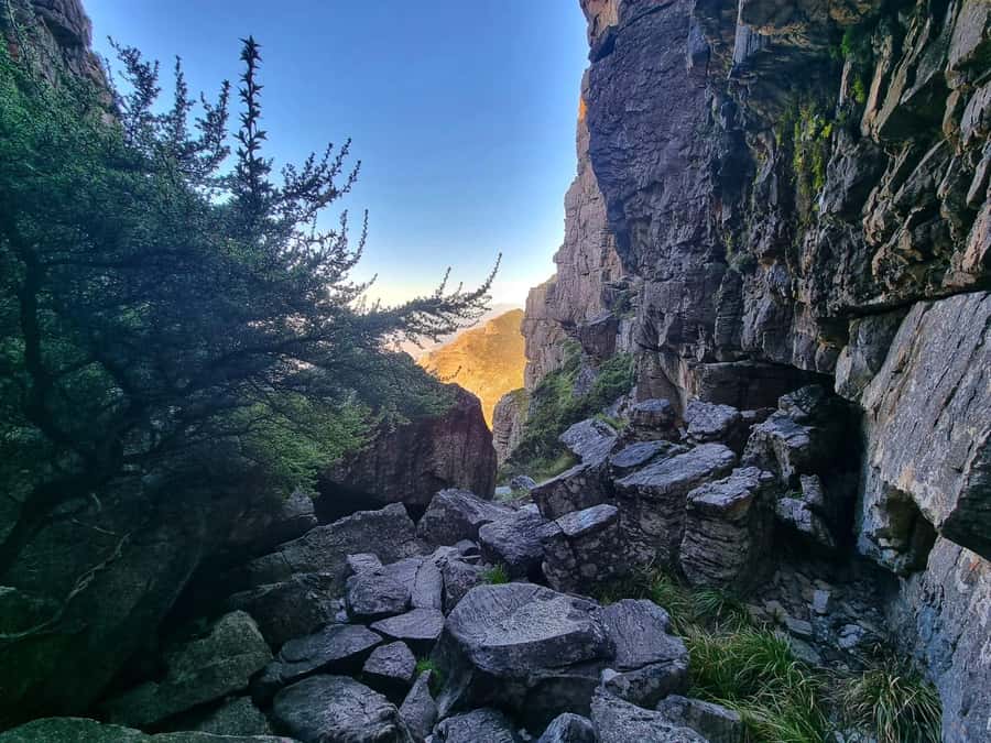 Table Mountain Group Hike - Solo Travelers welcome - Who should book this Saturday hike?