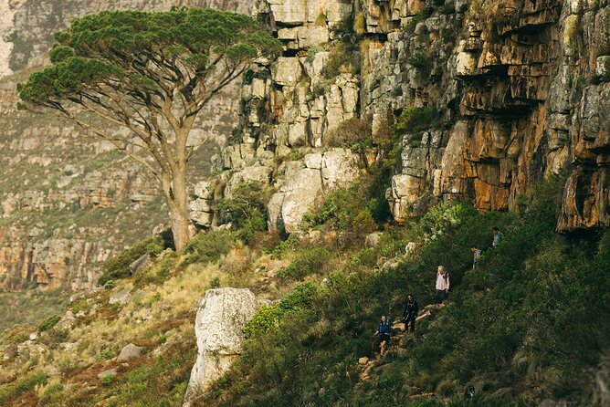 Table Mountain Guided Hike-epic adventure for all fitness levels - The mountain food break