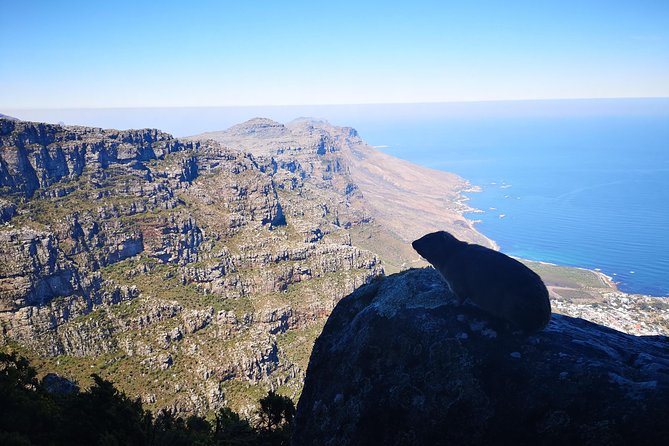 Table Mountain Half Day Hike: India Venster Trail - The summit delivers the big reward