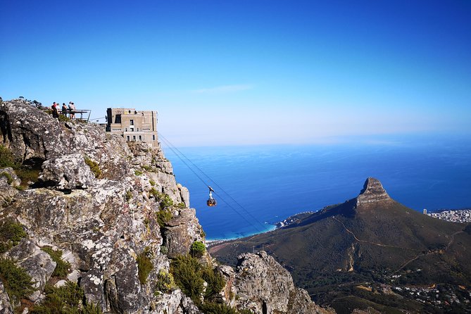 Table Mountain Half Day Hike: Platteklip Gorge - Stops for mountain plants, animals, and stories