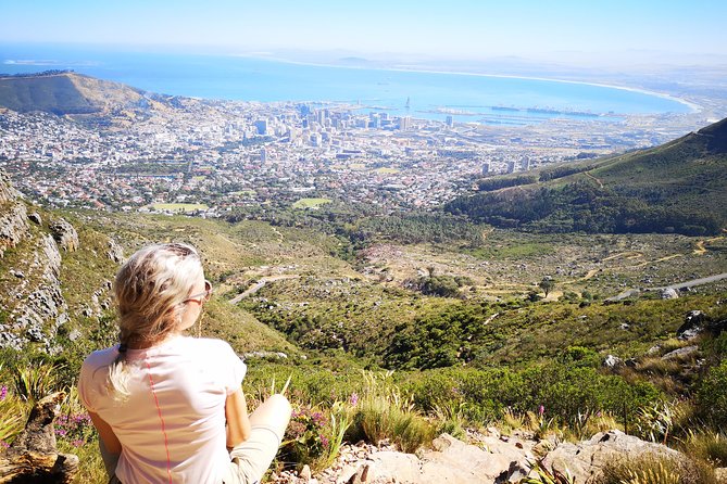 Table Mountain Half Day Hike: Platteklip Gorge - Taking the cableway back down