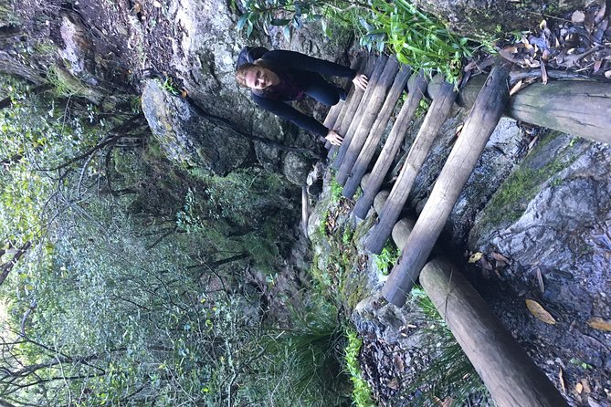 Table Mountain Hike (All routes) - Private Tour - What the climb feels like on the ground