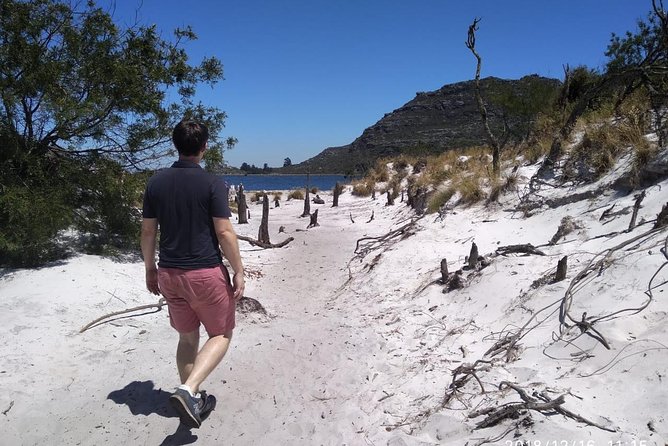 Table Mountain Hike (All routes) - Private Tour - Reaching the summit and riding down