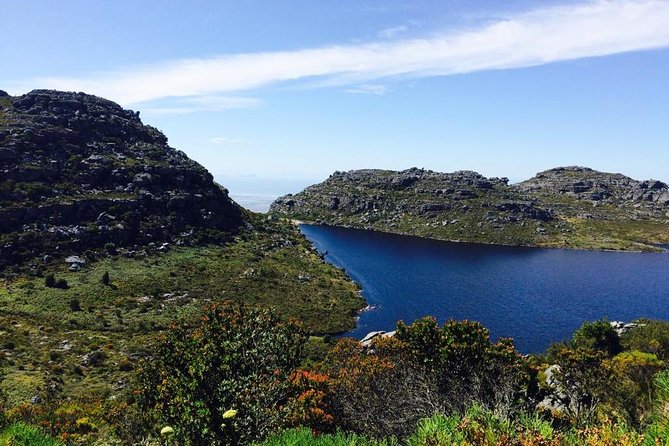 Table Mountain Hike (All routes) - Private Tour - The real value of the $184.69 price