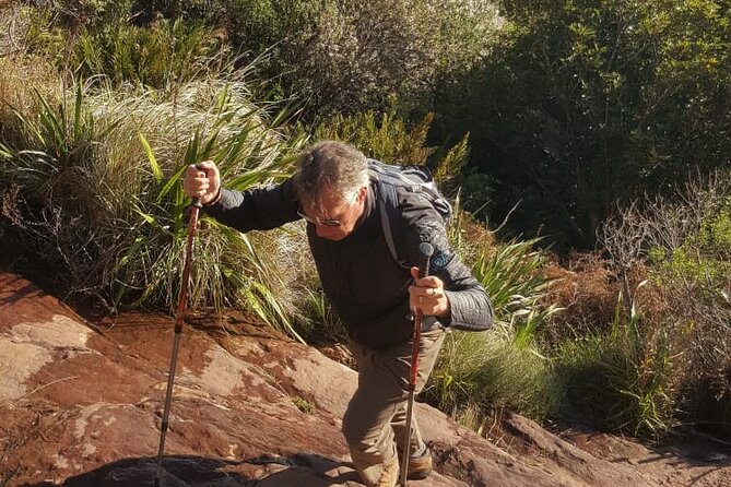 Table Mountain Hiking - Twelve Apostles to the plateau for a longer scenic route