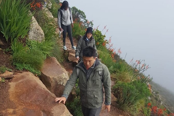 Table Mountain Hiking - The guide can turn a climb into a Cape Town introduction
