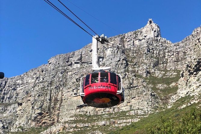Table Mountain & Mandela Freedom Full Day Tour - A useful hour at the V&A Waterfront