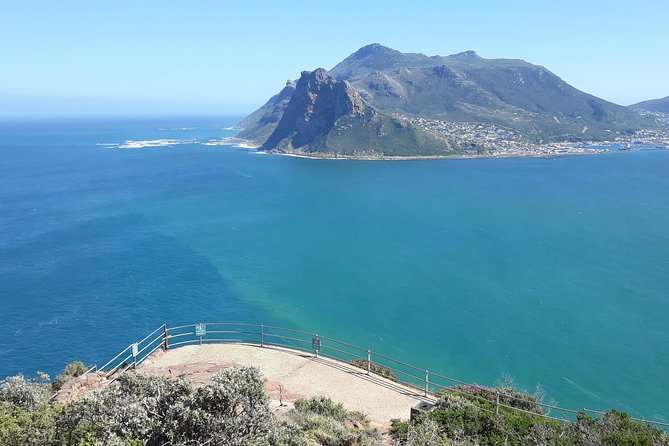 Table Mountain, penguin and Cape of good hope Fees included - Chapman’s Peak Drive and Hout Bay Views