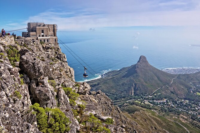 Table Mountain, Penguin,Cape Point Private Day Tour in Cape Town - Table Mountain: the day’s first major highlight