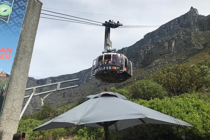 Table Mountain, Penguins and Cape Point Sharing GroupTour - Starting in Cape Town between 8:00 and 9:00