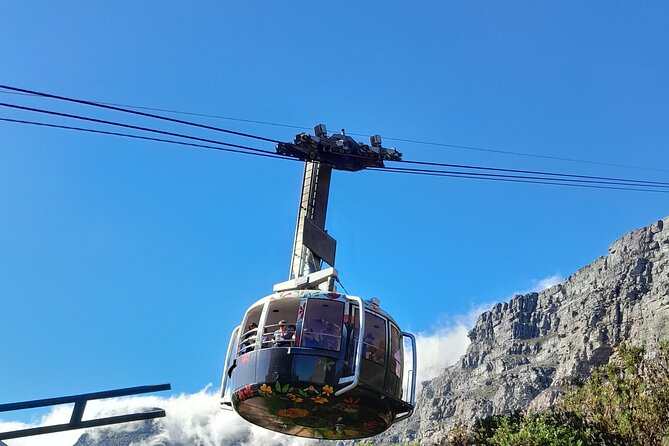 Table Mountain, Penguins, Cape of Good Hope: Private Tour - Noordhoek and Chapman’s Peak Drive