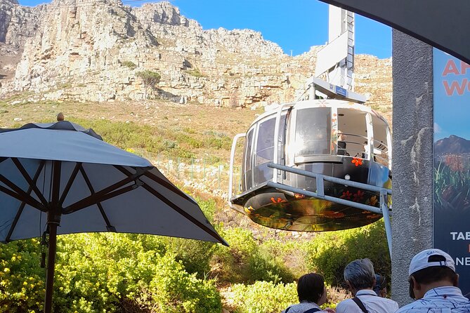 Table Mountain, Penguins, Cape of Good Hope: Private Tour - Cape of Good Hope and Cape Point