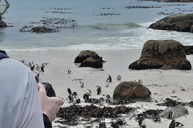 Table Mountain, Penguins & Cape of Good Hope Private Tour - Table Mountain starts the morning above Cape Town